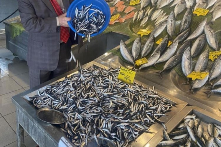 Balık fiyatları yarı yarıya d&uuml;şt&uuml;