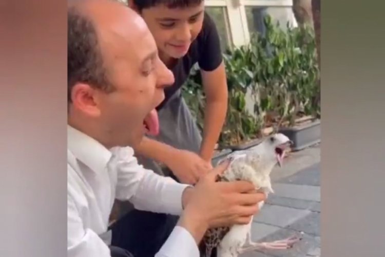 Martının taklidini yaptı: Restoran &ccedil;alışanı dilini kaptırdı