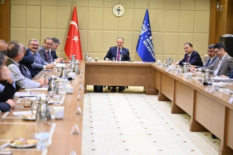 Bursa'da kestane &uuml;retiminde, verim ve kalite artacak