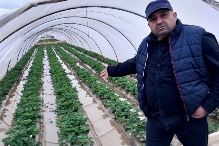 Antalya'da seralar sular altında kaldı