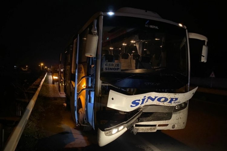 Samsun'da yolcu otob&uuml;s&uuml;n&uuml;n &ccedil;arptığı inek telef oldu
