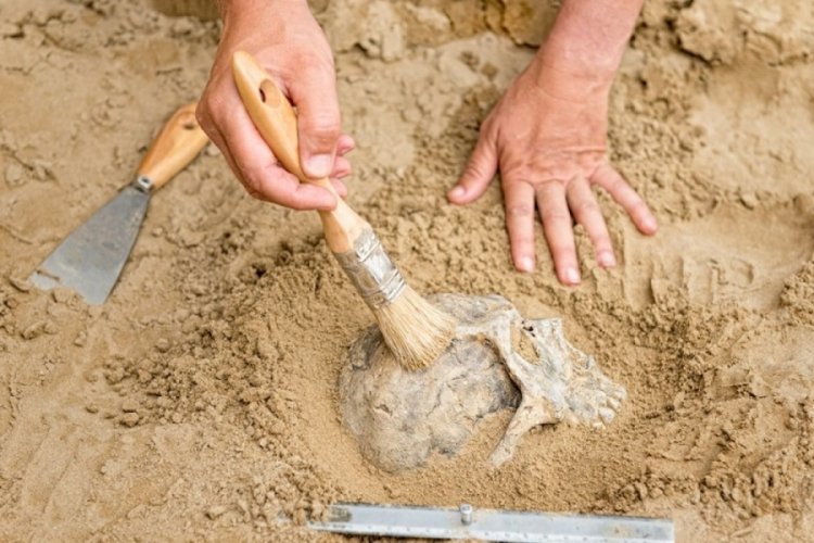 500 yıl &ouml;nce &ouml;len kadın yeniden canlandırıldı