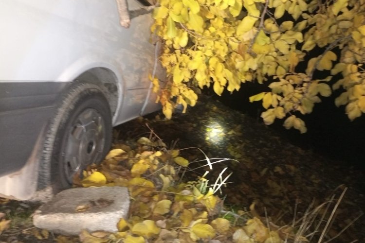 Aydın'da kontrolden &ccedil;ıkan ticari ara&ccedil; şarampole devrildi