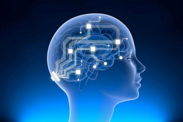 Musk'ın şirketi Neuralink hayvanları &ouml;ld&uuml;rmekle su&ccedil;lanıyor
