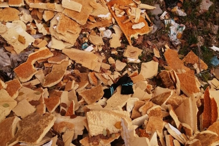 Uşak'taki cinsel saldırı ş&uuml;phelisinin son g&ouml;r&uuml;nt&uuml;s&uuml;ne ulaşıldı