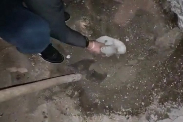 Kayseri'de toprağın altından cephane &ccedil;ıktı