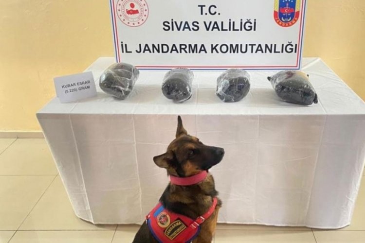 Sivas'ta durdurulan bir otomobilin i&ccedil;inden 5 kilo uyuşturucu &ccedil;ıktı