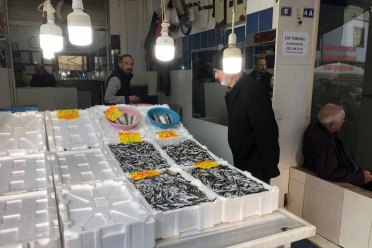 Hamsinin fiyatı 20 TL'ye kadar indi
