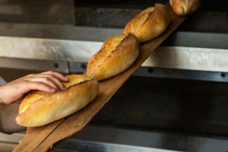 Hazine ve Maliye Bakan Yardımcısı G&uuml;rcan, ekmek fiyatları hakkında a&ccedil;ıklama yaptı