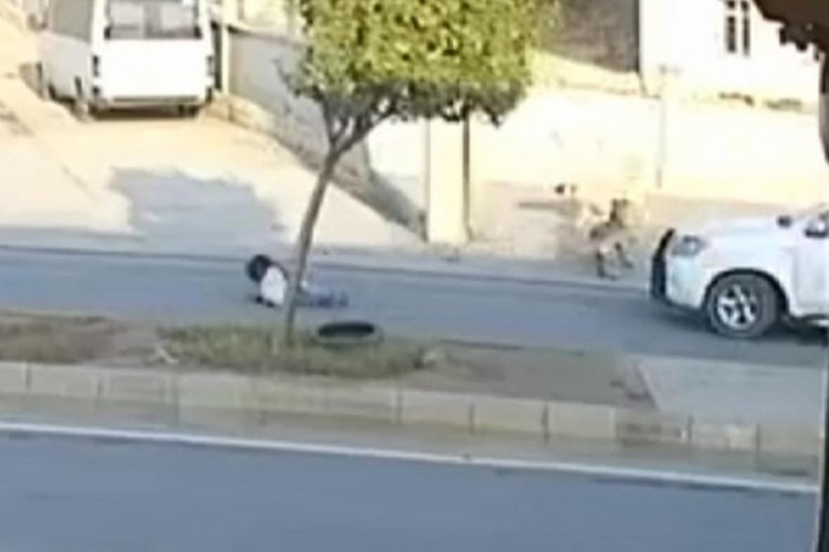 Şanlıurfa'da k&ouml;peklerin saldırdığı minik kız &ouml;l&uuml;mden d&ouml;nd&uuml;