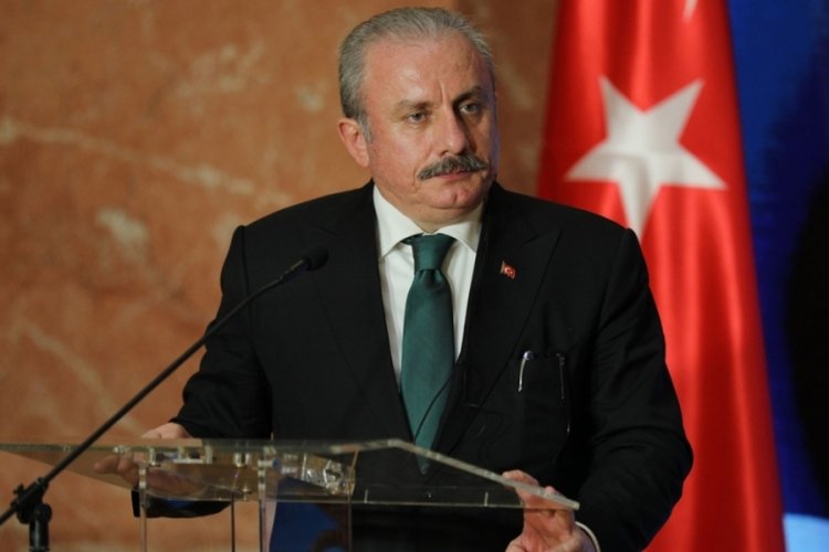 TBMM Başkanı Şentop 10 Aralık D&uuml;nya İnsan Hakları G&uuml;n&uuml;'n&uuml; kutladı
