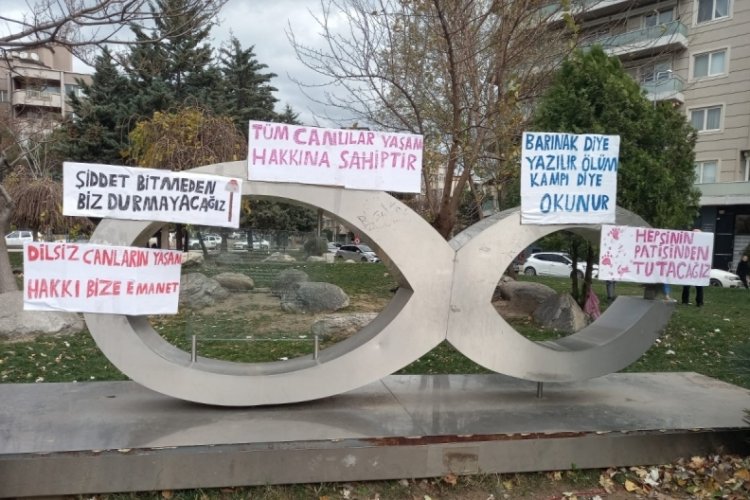 Bursa Hayvanseverleri Ortak Akıl Platformu; Onlarında Yaşamaya Hakları Var!