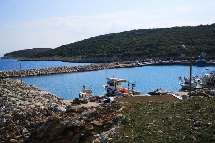 Edirne'de, dinamitin patlaması sonucu bir balık&ccedil;ının eli koptu