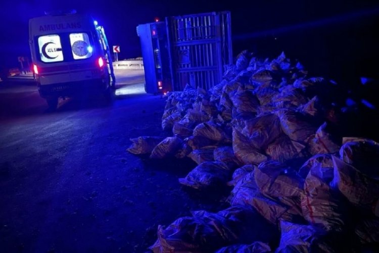 Hakkari'de k&ouml;m&uuml;r y&uuml;kl&uuml; tır devrildi