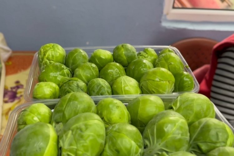 Bursa'dan sezonda 12 bin ton Br&uuml;ksel lahanası ihra&ccedil; ediliyor