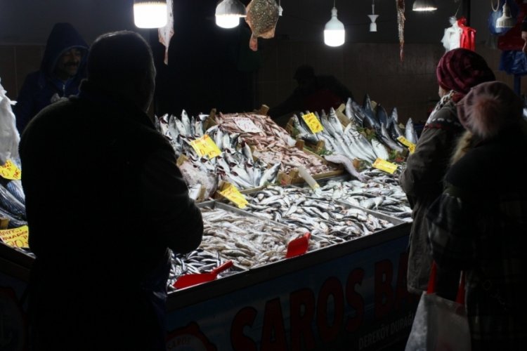 Havaların soğumasıyla birlikte balığa ilgi arttı