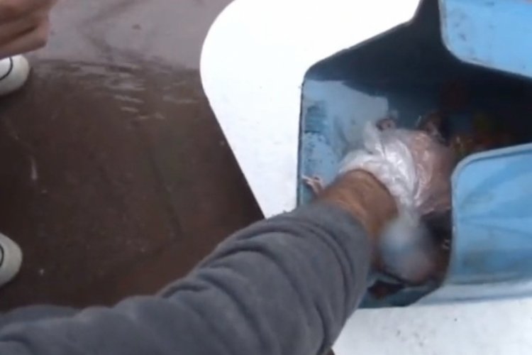 İzmir'de sağanak yağışta &ouml;len lağım faresine kalp masajı