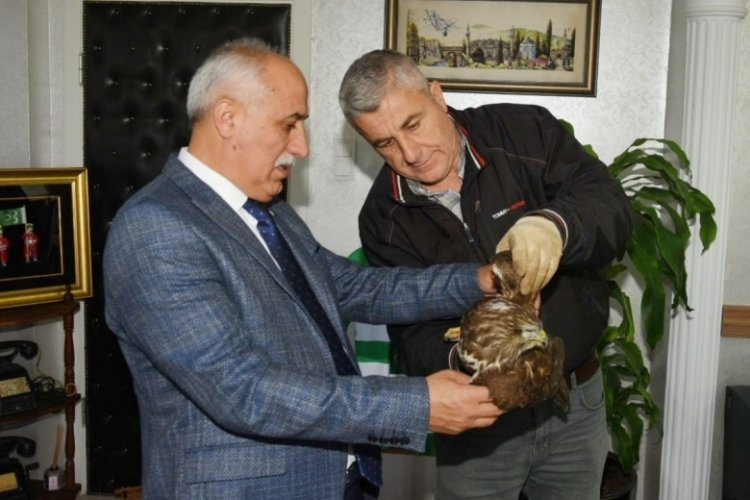 Bursa'da yaralı halde bulunan şahine Başkan Aydın sahip &ccedil;ıktı