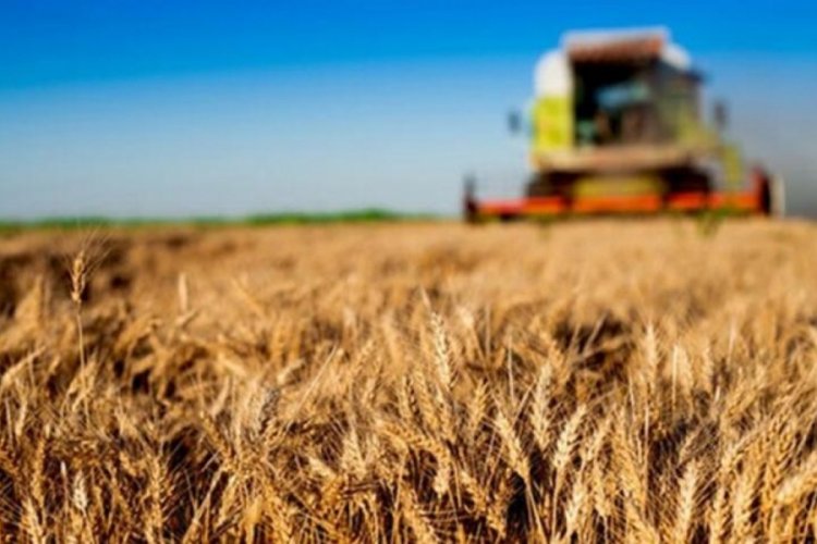 Tarım &uuml;r&uuml;nleri &uuml;retici fiyat endeksi a&ccedil;ıklandı
