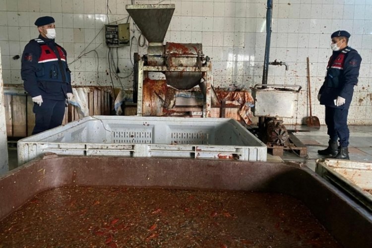 İzmir'de insan sağlığına aykırı &uuml;retilen 25 ton sal&ccedil;a ele ge&ccedil;irildi!