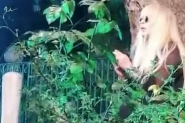 Zerrin &Ouml;zer mezarlıkta şarkı s&ouml;yledi