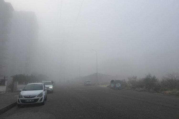 Gaziantep, Adıyaman ve Kahramanmaraş'ta sis etkili oldu
