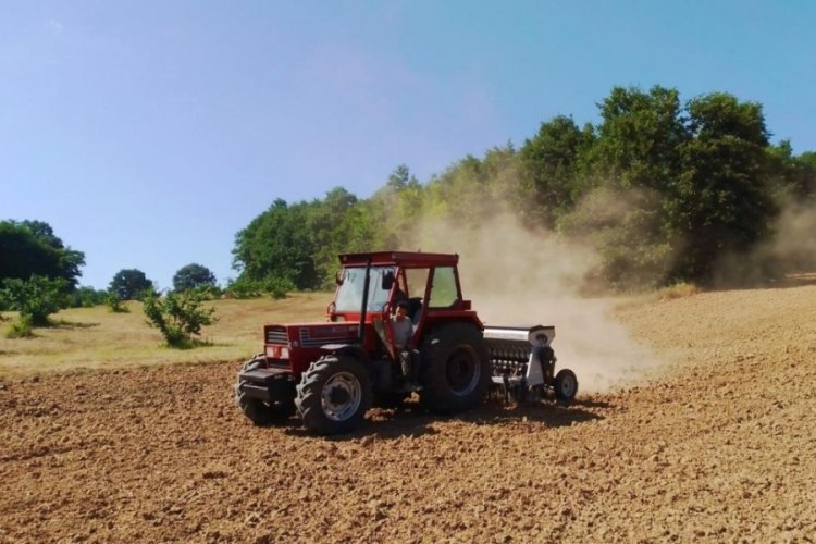 713,8 milyonluk tarım destek &ouml;demesi hesaplara ge&ccedil;iyor