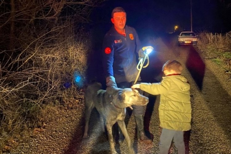 Bolu'da, dere kenarında mahsur kalan k&ouml;peğin imdadına itfaiye yetişti!