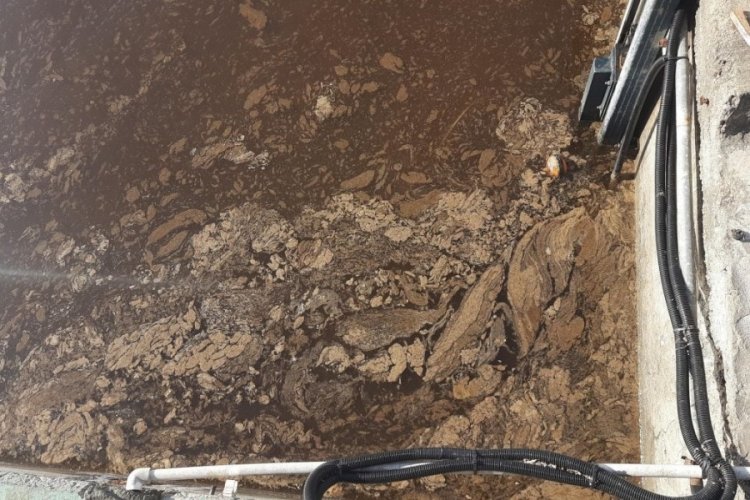 İzmit K&ouml;rfezi kahverengiye b&uuml;r&uuml;nd&uuml;