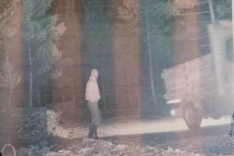 Denizli'de fotokapan hırsızlığı