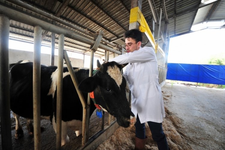 Bursa'da b&uuml;y&uuml;k ve k&uuml;&ccedil;&uuml;kbaşların duygu durumları sens&ouml;rlerle kontrol ediliyor