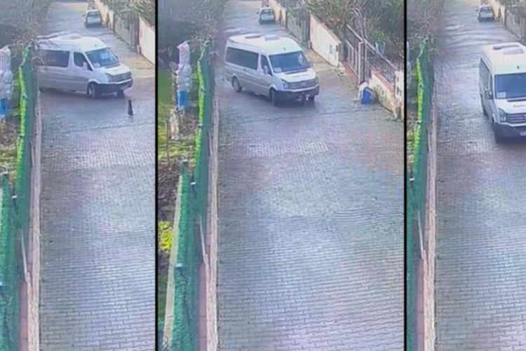 İstanbul'da vicdansız s&uuml;r&uuml;c&uuml; k&ouml;peği ezip ka&ccedil;tı!