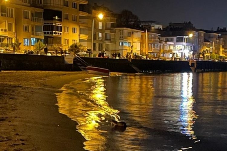 Bursa'da su samuru g&ouml;r&uuml;ld&uuml;