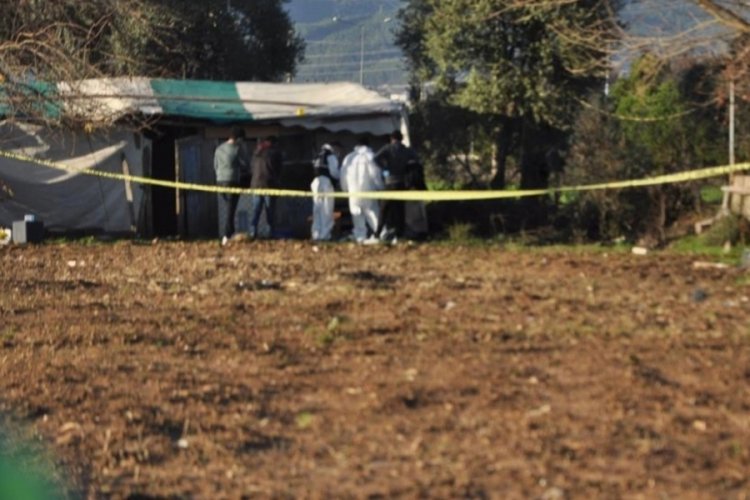 Muğla'da tarlada erkek cesedi bulundu