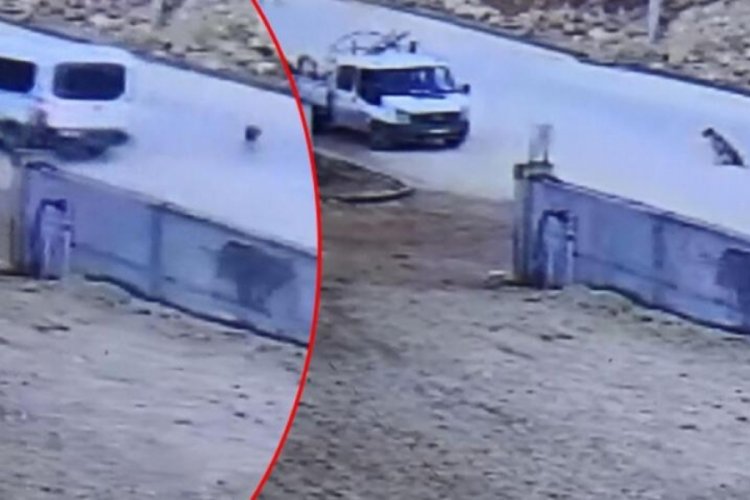 İş&ccedil;i servisi, k&ouml;peklere &ccedil;arpmamak i&ccedil;in kamyonete &ccedil;arptı! &Ouml;l&uuml; ve yaralılar var