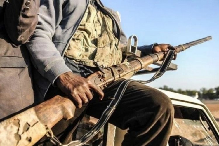 Nijerya'da d&uuml;zenlenen silahlı saldırılarda 37 kişi &ouml;ld&uuml;
