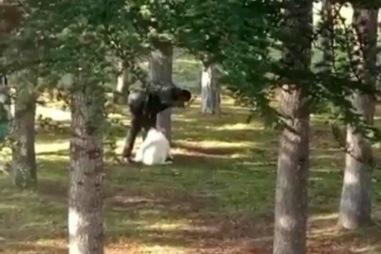 Kayseri'de k&ouml;peği kemerle d&ouml;ven şahıs serbest kaldı