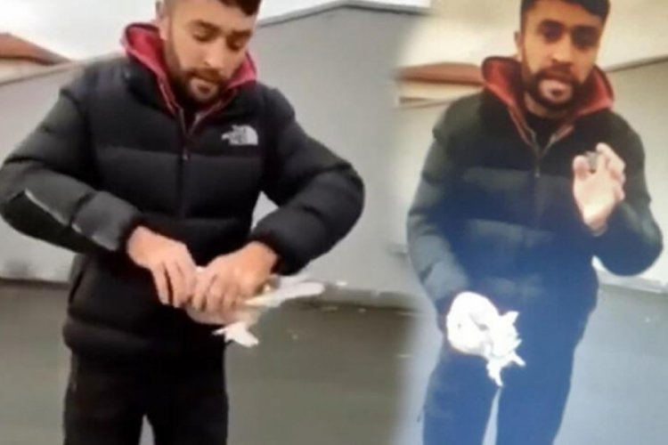 G&uuml;vercinin başını koparıp &ouml;ld&uuml;rd&uuml;