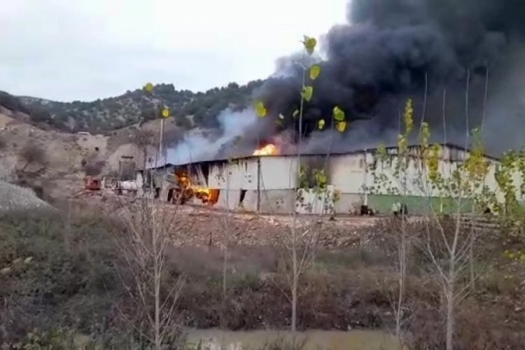 Amasya'da kontrplak fabrikasında yangın