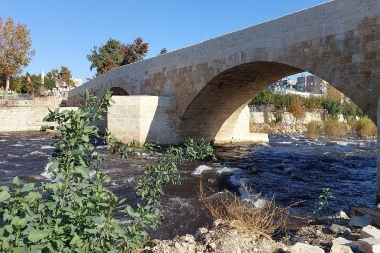 Mersin'de G&ouml;ksu Nehri'ni kirleten iki fabrikaya b&uuml;y&uuml;k ceza!