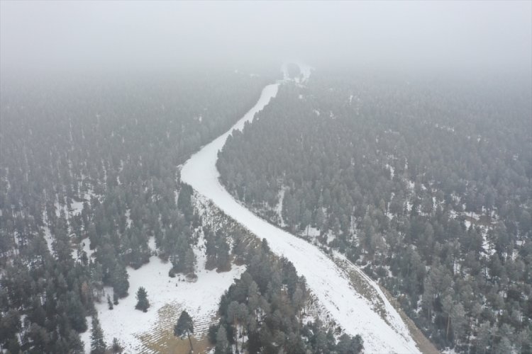 Ardahan ve Kars'ı sis kapladı