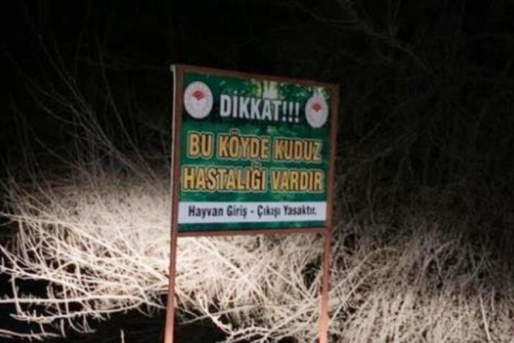 Kentte kuduz alarmı! 3 k&ouml;y 6 ay boyunca karantinaya alındı