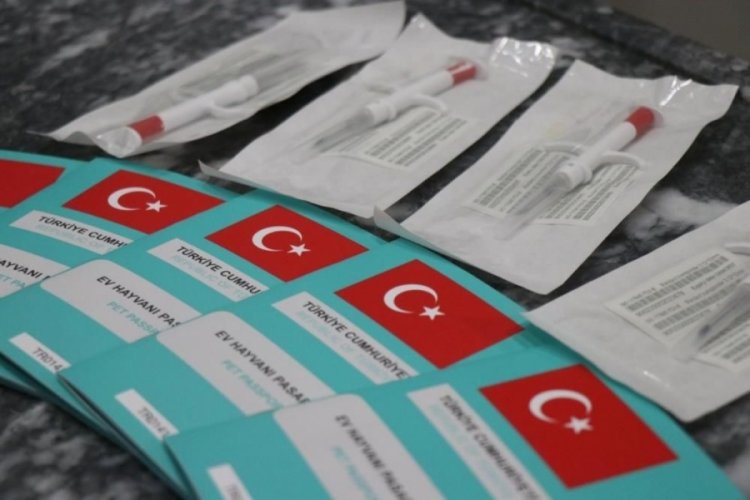 Yoğun başvuru &uuml;zerine tedarik sorunu başladı