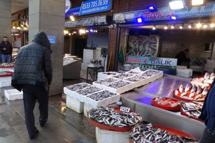 Hamsi sezonun en y&uuml;ksek fiyatını g&ouml;rd&uuml;