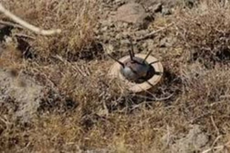 Burkina Faso'da yolcu otob&uuml;s&uuml; mayına &ccedil;arptı: 10 &ouml;l&uuml;, 5 &ouml;l&uuml;