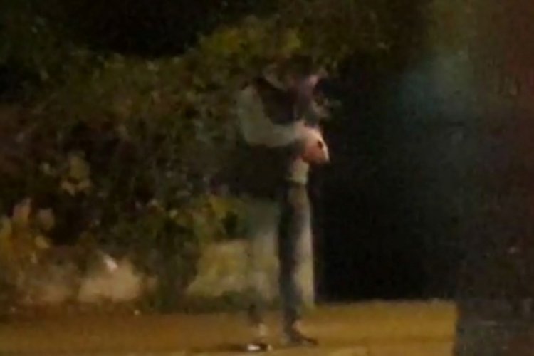 Antalya'da yavru k&ouml;peği ısıran adam g&ouml;zaltına alındı