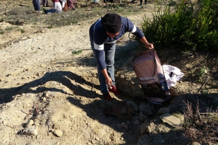 Antalya'da &ouml;ld&uuml;r&uuml;l&uuml;p atılan yavru k&ouml;pek, iş&ccedil;iler tarafından g&ouml;m&uuml;ld&uuml;