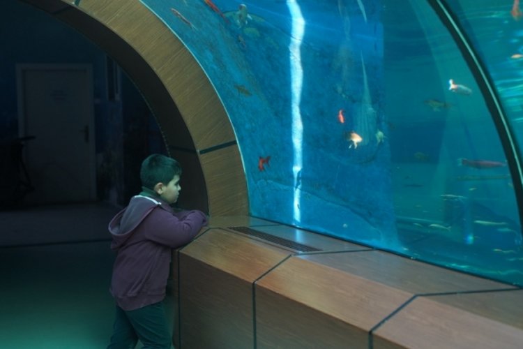 Bursa Yıldırım'daki tünel akvaryuma 2022'de 250 bin ziyaretçi
