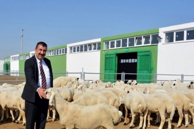 T&Uuml;DKİYEB'den istifa