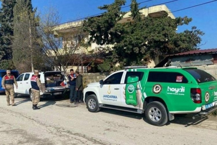 Hatay'da bir sokak k&ouml;peğini silahla acımasızca vuran kişi yakalandı